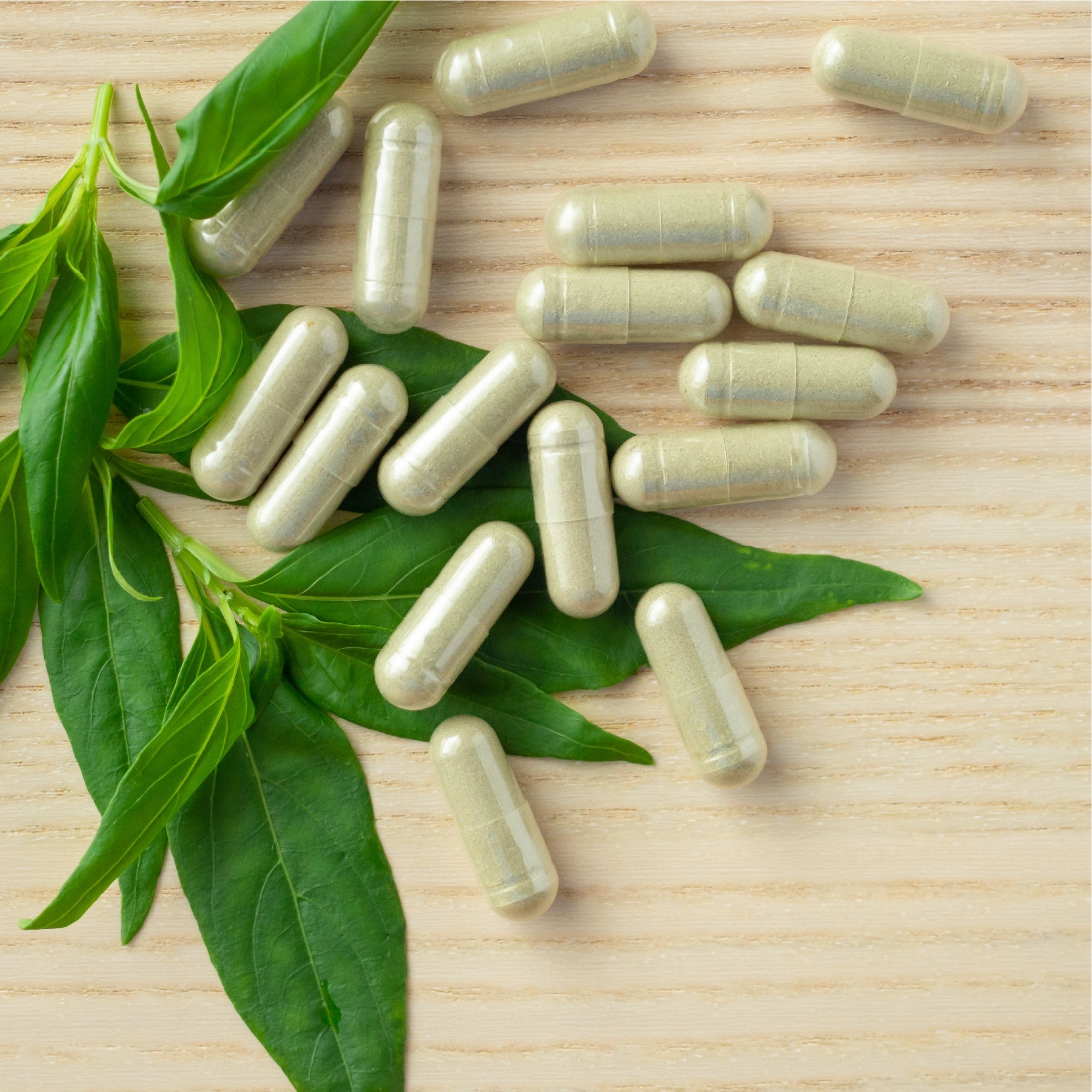 Gut Health