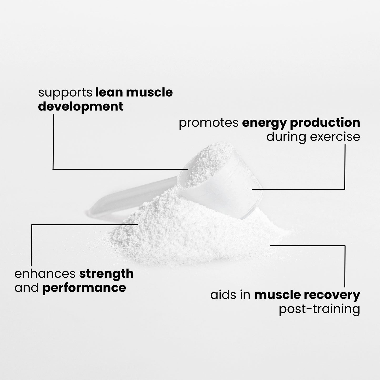 CREATINE MONOHYDRATE 100% PURE