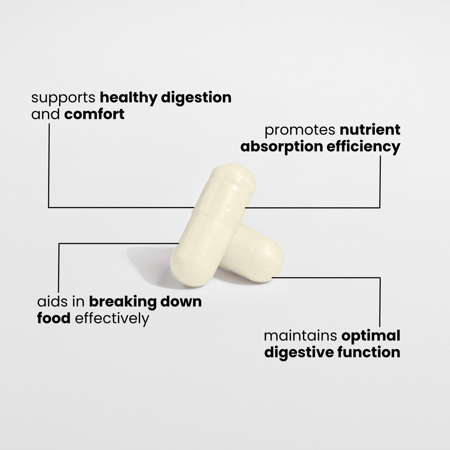 DIGESTIVE ENZYME PRO BLEND