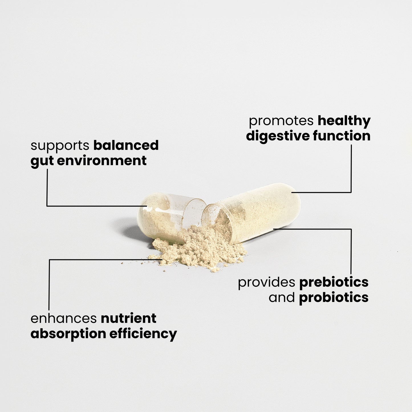 GUT HEALTH