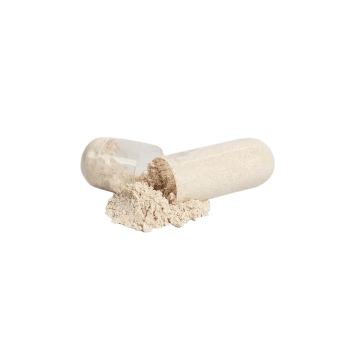 SEA MOSS