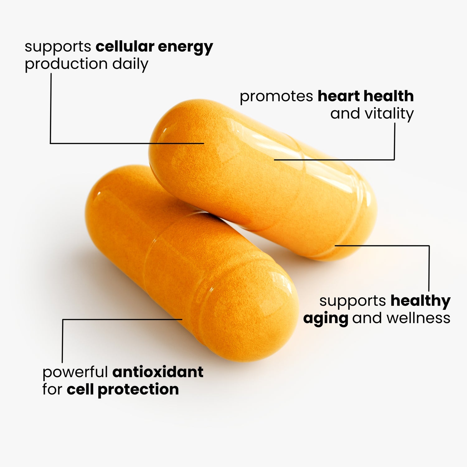 COQ10 UBIQUINONE