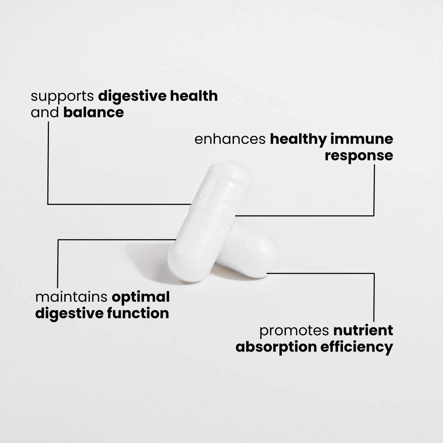 PROBIOTIC 40 BILLION WITH PREBIOTICS